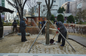 포항시, 수목 생육 촉진 위한 긴급 관수 작업