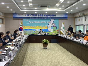 고령군, 고령대가야축제 안전사고 대비 총력