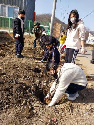 의성 옥전초 “아름다운 학교 함께 가꿔요”