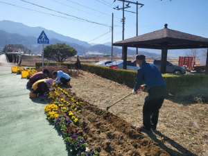상주시 동성동, 새봄맞이 아름다운 꽃길 조성