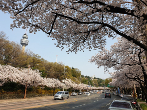 “봄날의 추억 ‘대구 봄내음길’에서 만들어요”