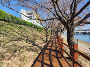 대구 동구, 호국의 길 데크로드 조성 완료