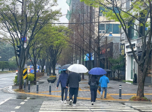 포항시, ‘반가운 단비’ 산불ㆍ가뭄 걱정 한시름 덜어