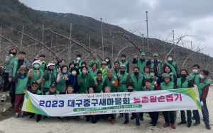 대구중구새마을회, 영주 복숭아 농가 농촌일손돕기