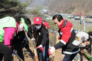 안동시, 제78회 식목일 기념 시민 나무심기 행사