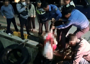 동해해양경찰서, 항구에 빠진 관광객 구조