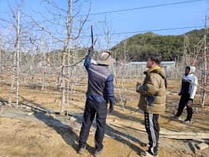 영덕군, 2023년 신규농업인  현장실습 교육