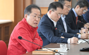 “대구국제마라톤 세계 최고 대회로 육성”