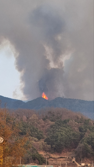 영주 산불 18시간만에 진화 완료…산불영향구역 210㏊ 추정