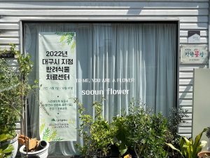 대구시, 반려식물치료센터 20곳 운영