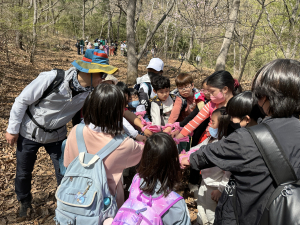 흥해서부초등학교, 전교생 백련산 산행 실시