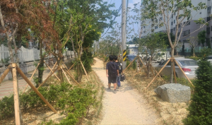 포항시, 산림청 ‘자녀안심 그린숲 조성사업’ 2년 연속 선정