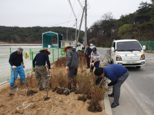 봉화군농기센터, 계란환적장에 영산홍 식재