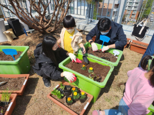 대구 동구 신천도서관, 도시농부 프로그램 운영