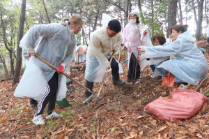 달서구, 주민과 함께 푸른 명품 숲 만든다