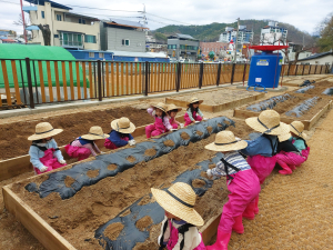 “의성 도동리 공동마을텃밭서 힐링”