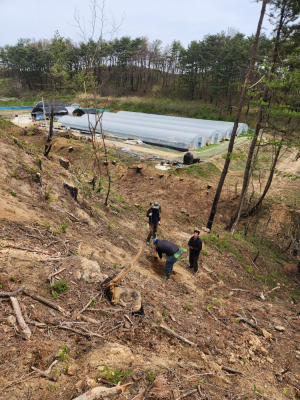 울진, 불탄 산림 다시 푸르게~  600ha 조림 추진
