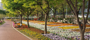 경산시, 봄꽃 어울림 꽃화단 완성