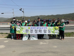 군위군 효령면 새마을부녀회, 지역 환경정화 활동