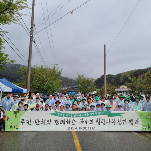 칠곡군 가산면 곡4리, 힐링나무 심기 행사