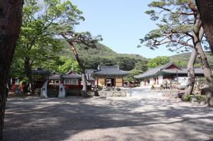보경사 5월 4일부터 입장료 전면 폐지