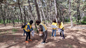 포항시자원봉사동아리연합회, 새산새숲 숲살리깅 활동