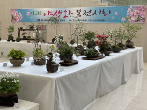 구미농기센터, 우리꽃야생화 봄전시회