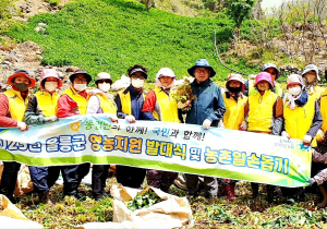 울릉농협, 농촌일손돕기 봉사활동 실시