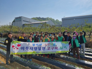 상주 청리면 새마을남여지도자회, 사랑의 고구마 식재