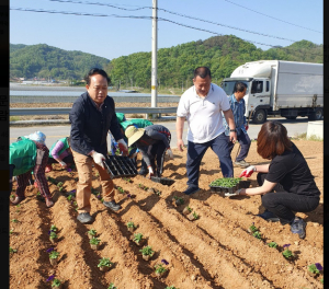 김천시 감문면 새마을남녀협의회, 봄꽃 심기