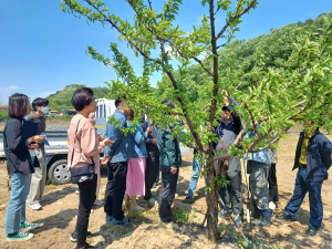 김천시 농소면, 이상저온 농작물 피해 농지 조사 방법 교육