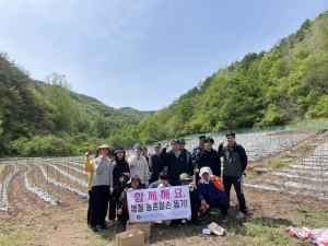 영양 청기면, 영농철 고추농가 일손 돕기 나서