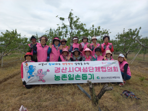 경산시여성단체협, 농촌일손돕기 구슬땀