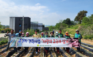 상주시 함창읍 새마을남녀지도자회, '사랑의 고구마' 식재