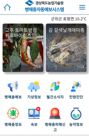 경북도농업기술원, 봄철 돌발해충 적기 방제 당부
