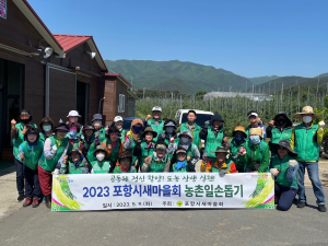 포항시새마을회, 송라면 사과 농가서 ‘굵은 땀’