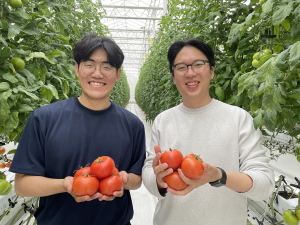 상주아이오크롭스, '사랑의 토마토' 나눔