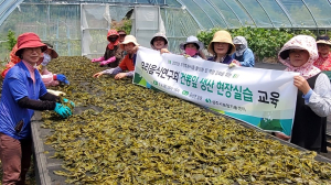 상주시농기센터, 건뽕잎 생산 현장실습 교육