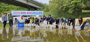 경북도, 잉어류ㆍ동자개 어린고기 방류 실시