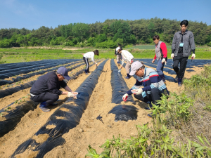 봉화군, 도시민 4가구 대상 전원생활 체험 제공