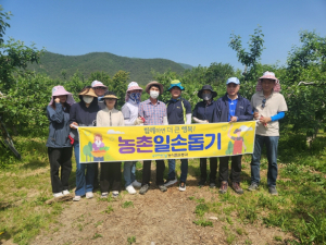 포항시 농식품유통과, 기북면 사과 농가 일손 돕기 ‘구슬땀’