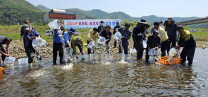 영양군, 내수면 생태계 복원 위해 어린고기 방류