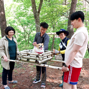 국립검마산자연휴양림, 반려견의 봄날 산책