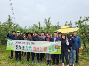 상주시 은척면, 사과적과작업 일손돕기 나서