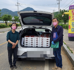 상주시 사벌국면 자전거 딸기농장, 사랑의 딸기 나눔