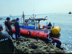 포항 앞바다 실종 선장 사망