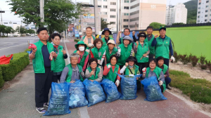 김천 대곡동새마을협의회, 그린 대곡동 환경정화 활동