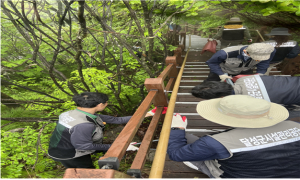 달성군시설관리공단, 비슬산 참꽃군락지 환경정화활동 실시