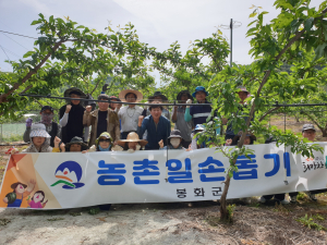 봉화군 봉성면, 과수 저온피해 농가 일손 지원