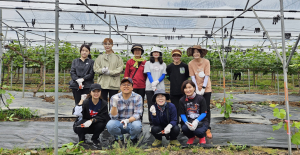 김천시 건강증진과, 농번기 포도 농가 일손 돕기 적극 동참